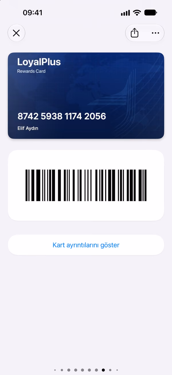 Tanınan kart ve ayrıntıları